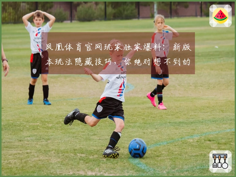凤凰体育官网玩家独家爆料：新版本玩法隐藏技巧，你绝对想不到的收益提升秘诀！