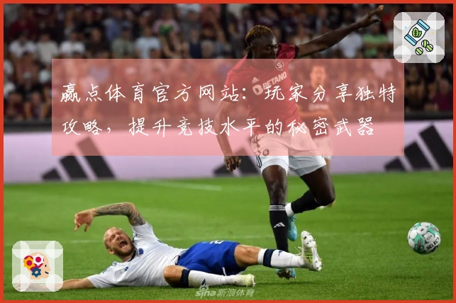 赢点体育官方网站：玩家分享独特攻略，提升竞技水平的秘密武器