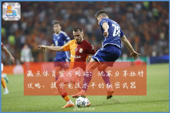 赢点体育官方网站：玩家分享独特攻略，提升竞技水平的秘密武器
